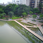 安徽省霍邱縣水門塘公園景觀工程設計