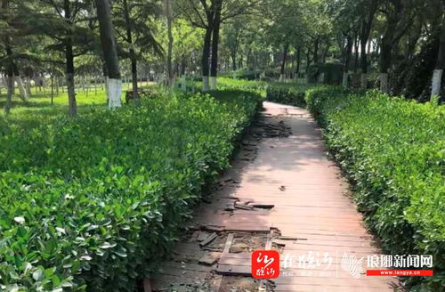 早安臨沂 2021年6月17日