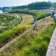 安徽省霍邱縣水門塘公園景觀工程設(shè)計(jì)